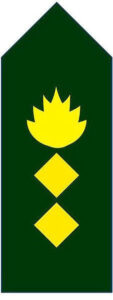 Colonel