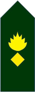 Lieutenant_colonel